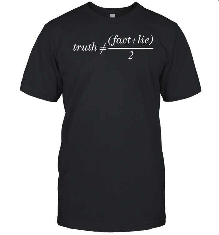 Truth Is Not Fact Plus Lie Divide 2 Hoodie