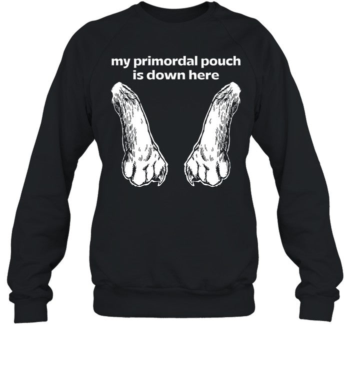 My Primordial Pouch Is Down Here Hoodie