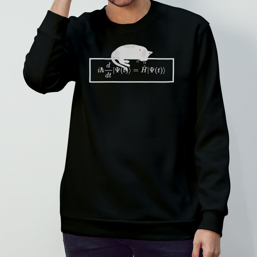 Schrodinger equation cat shirt