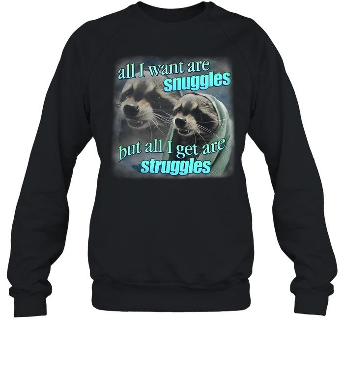 All I Want Are Snuggles But All I Get Are Struggles Raccoon Hoodie