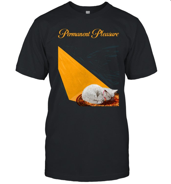Joywave Permanent Pleasure 2024 Shirt