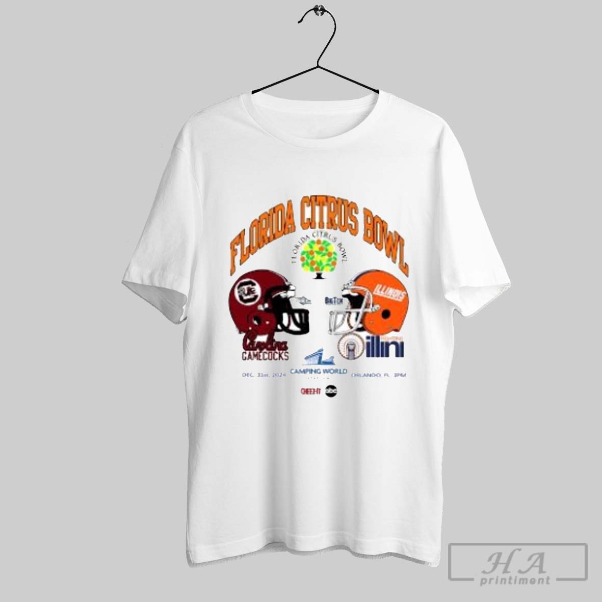 South Carolina Gamecocks Vs Illinois Fighting Illini Dec 31st 2024 Florida Citrus Bowl