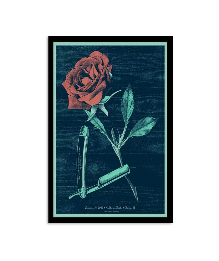Damien Rice December 1, 2023 Auditorium Theatre Chicago, IL Poster