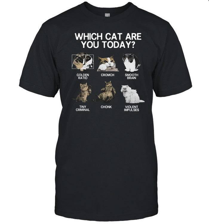 Shirt Which Cat Are You Today Golden Cromch Smooth Brain Tiny Criminal Chonk Violent Impulses