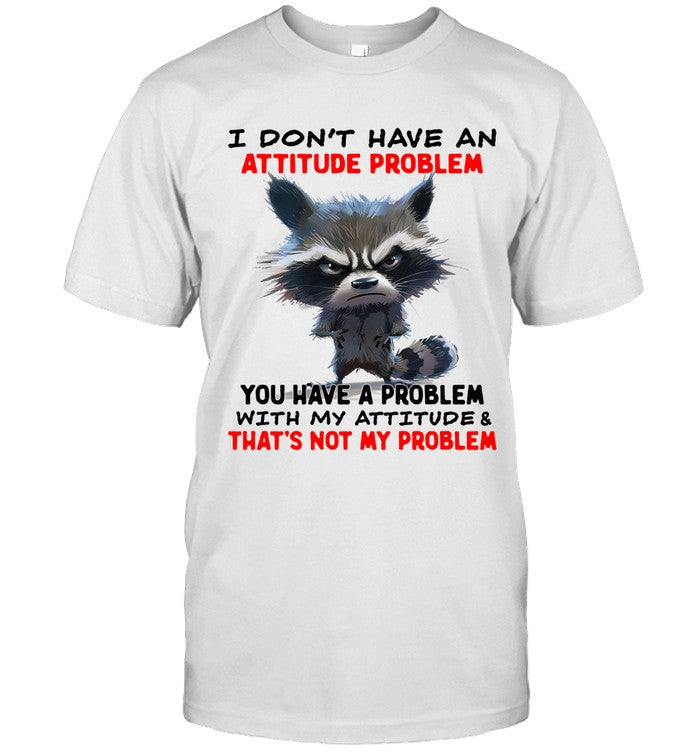 I Don't Have An Attitude Problem