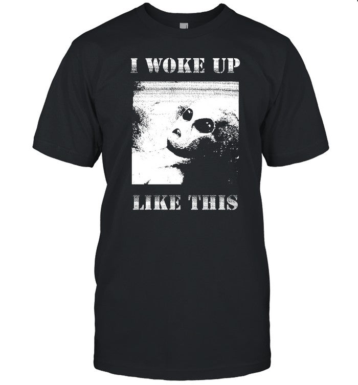 She-Rage, Princess Of Pain I Woke Up Like This Alien T Shirt