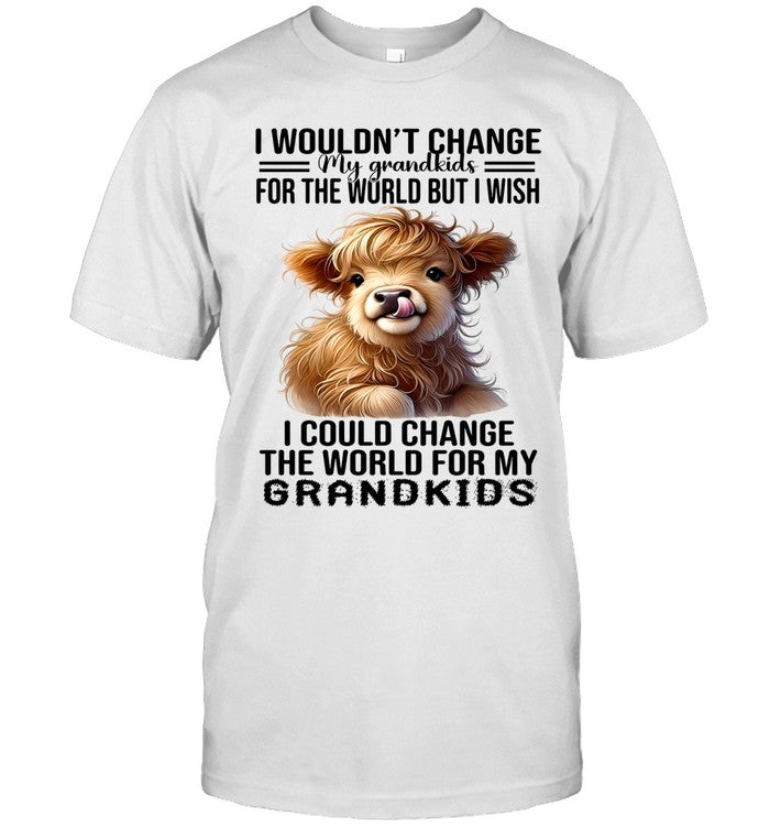 I WOULDN'T CHANGE MY GRANDKIDS FOR THE WORLD BUT I WISH I COULD CHANGE THE WORLD FOR MY GRANDKIDS