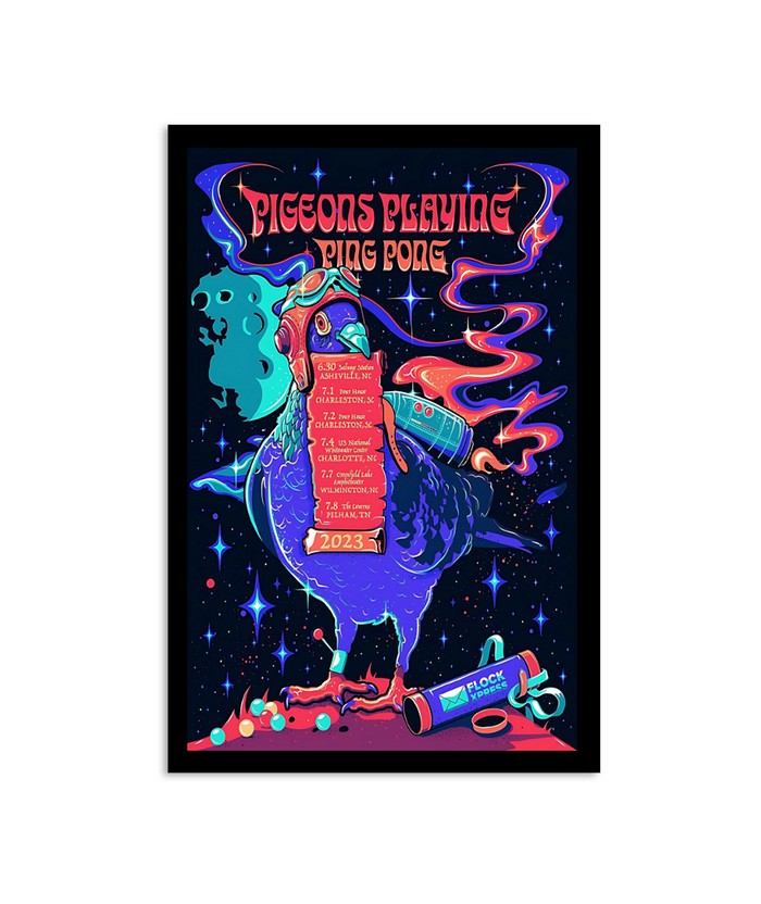 Pigeons Playing Ping Pong 1 2 July 2023 Pour Hus Charleston SC Poster