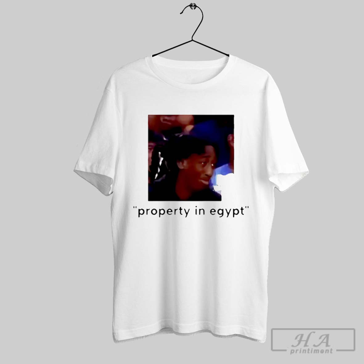Property In Egypt Shirt