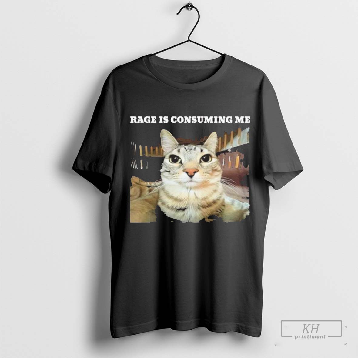 Rage Is Consuming Me Cat Meme Gift T Shirt