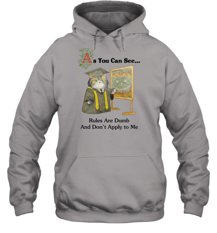 As You Can See Rules Are Dumb And Don't Apply To Me Hoodie