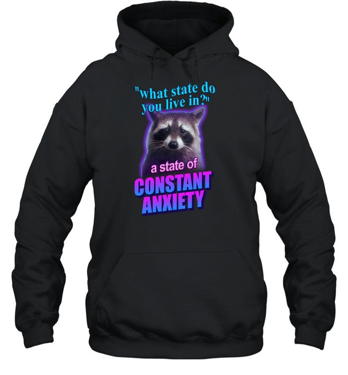 What State Do You Live In A State Of Constant Anxiety Raccoon Hoodie