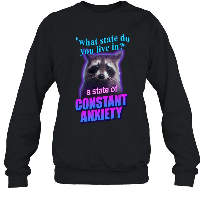What State Do You Live In A State Of Constant Anxiety Raccoon Hoodie