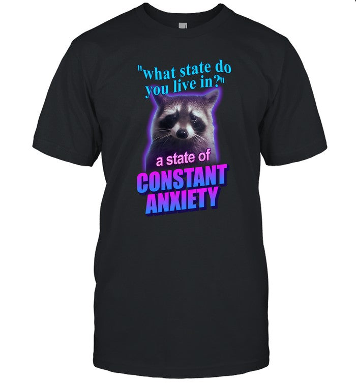 Snazzy Seagull Design What State Do You Live In A State Of Constant Anxiety Raccoon Shirt