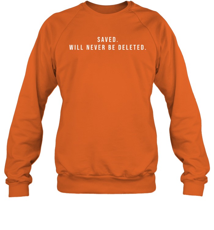 Saved Will Never Be Deleted Hoodie