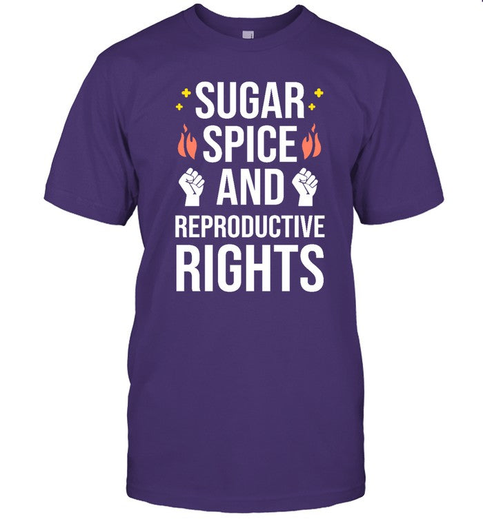 Sugar Spice And Reproductive Rights Hoodie
