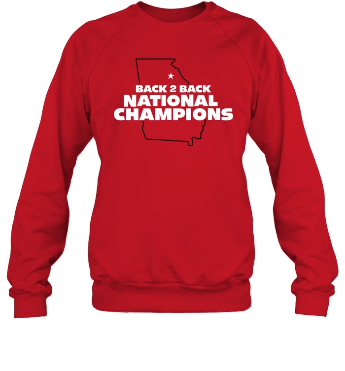 Back To Back Ga State Hoodie