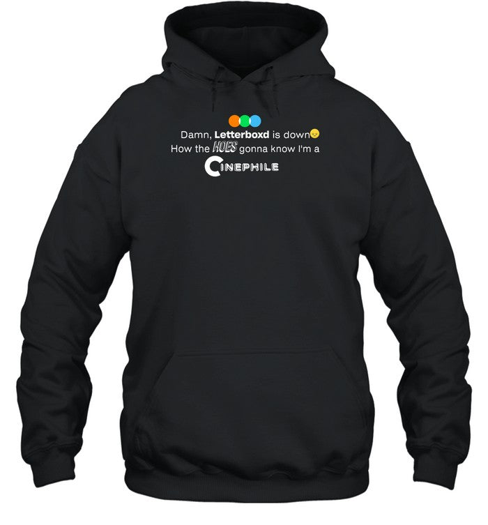 Damn, Letterboxd Is Down How The Hoes Gonna Know I'm A Cinephile Hoodie