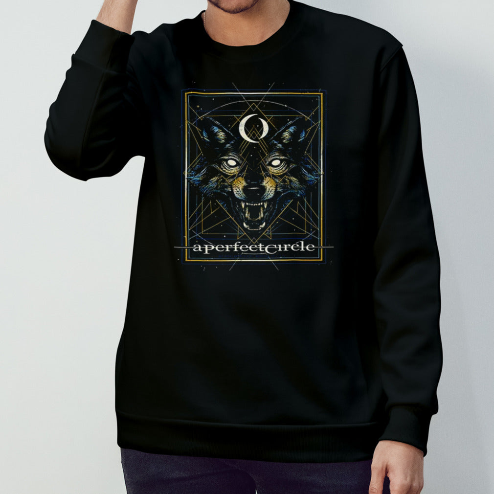 A Perfect Circle Show Tonightsâ€™s Poster For Morrison CO shirts