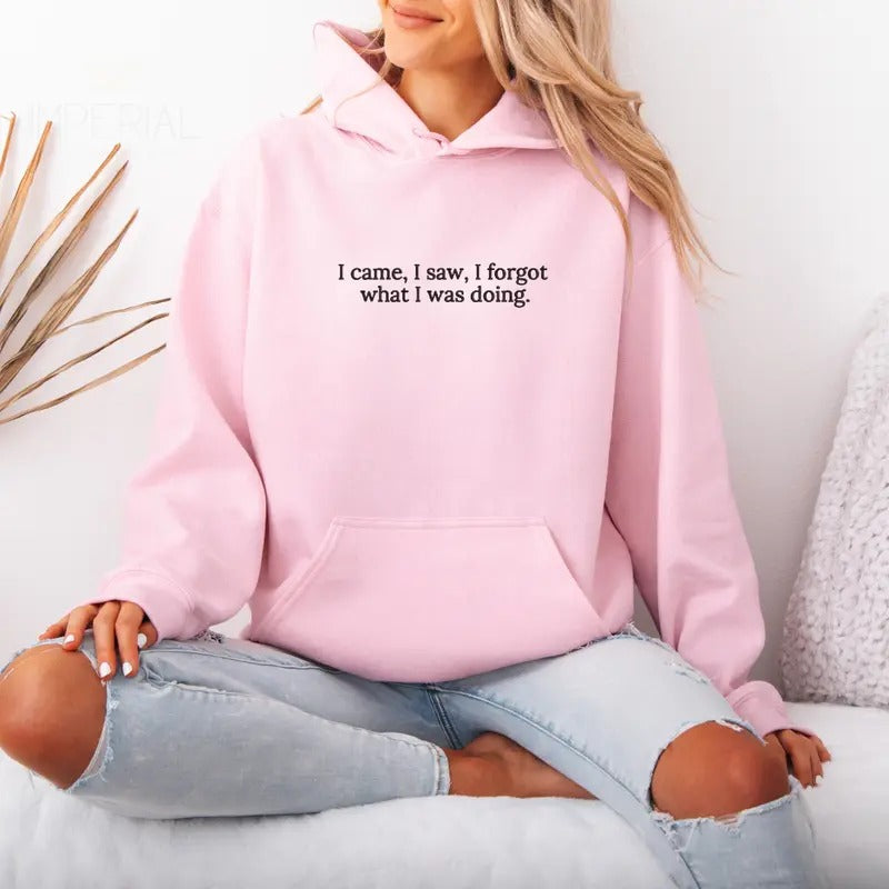 I Came I Saw I Forgot What I Was Doing Embroidered Hoodie Unisex, I Forgot What I Was Doing Hoodie, Quotes Sweater, I Came I Saw I Forgot Embroidered EMB