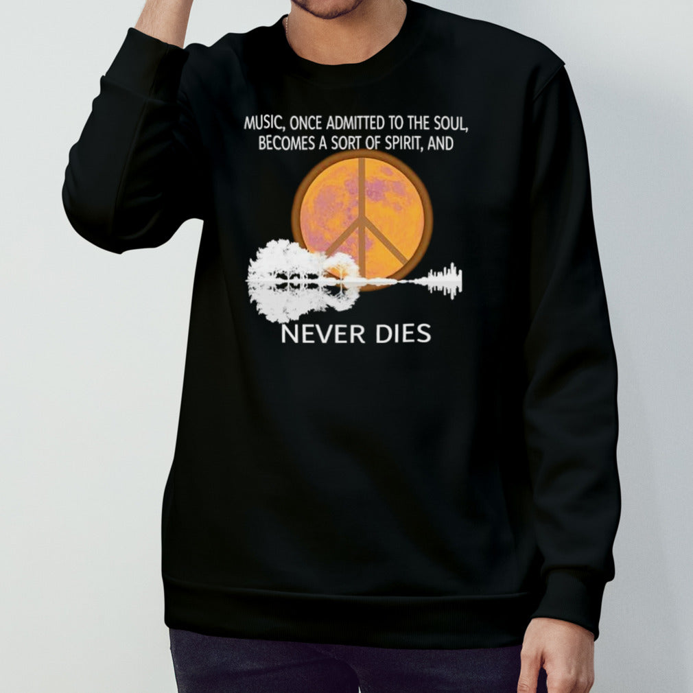 Music once admitted to the soul becomes a sort of spirit and never dies shirts