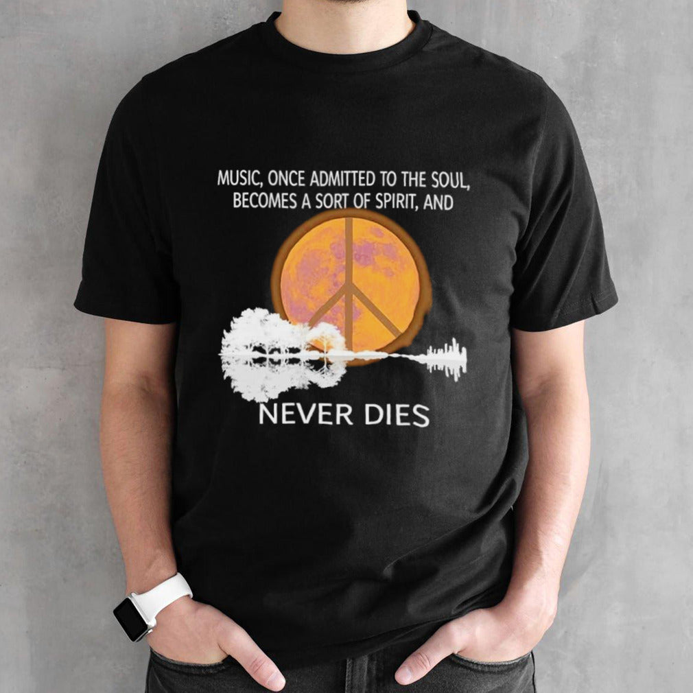 Music once admitted to the soul becomes a sort of spirit and never dies shirts