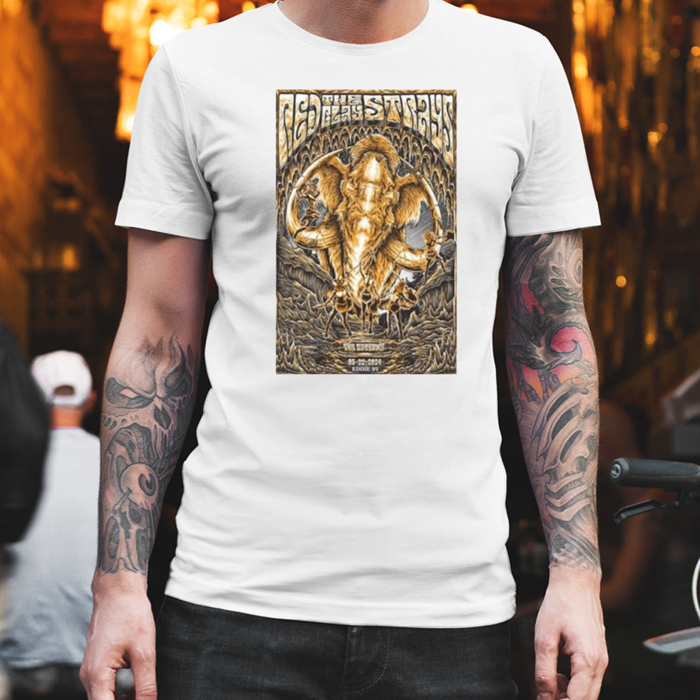 Red Clay Strays Tour In Pelham TN On June 22 2024 Poster Shirt