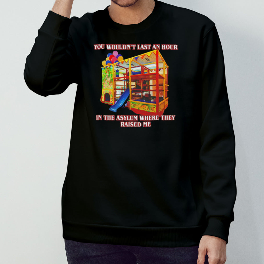 You wouldnâ€™t last an hour in the asylum where they raised me shirt
