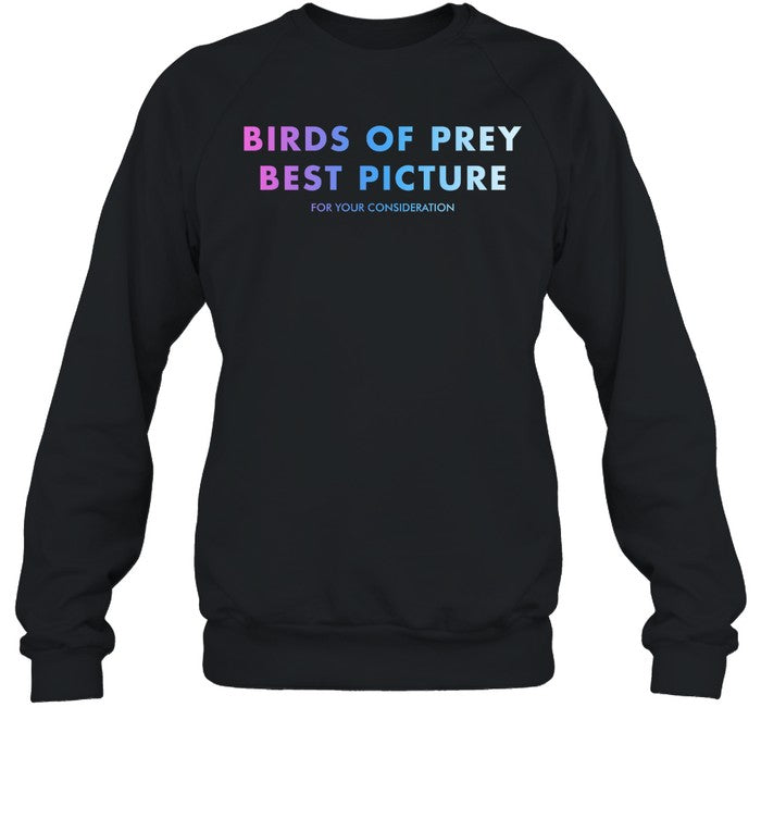 Birds Of Prey Best Picture For Your Consideration Hoodie