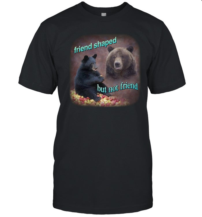 Snazzy Seagull Bears Friend Shaped But Not Friend Shirt