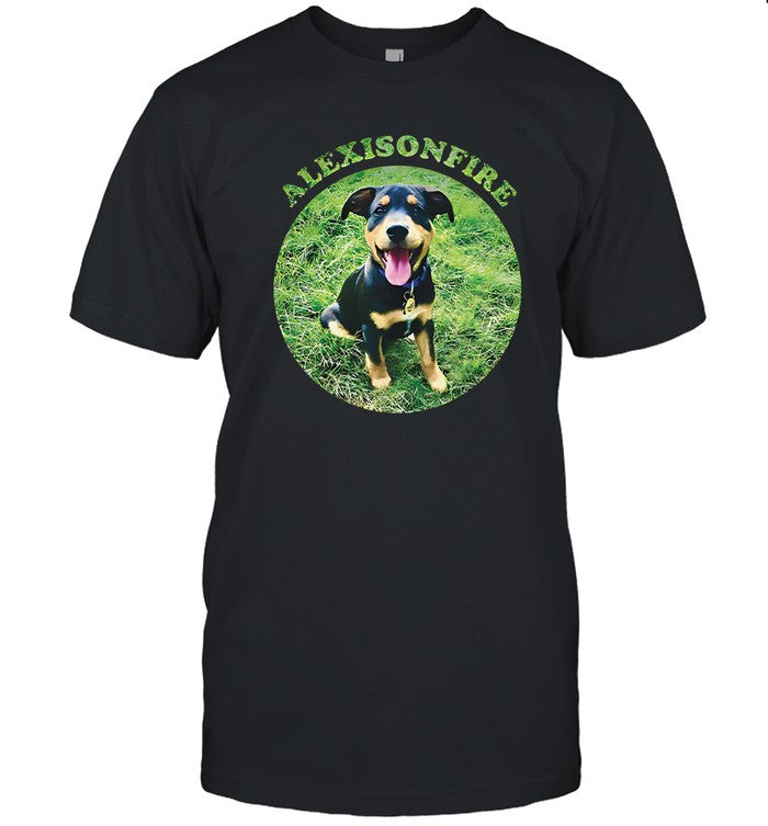Alexisonfire Tee