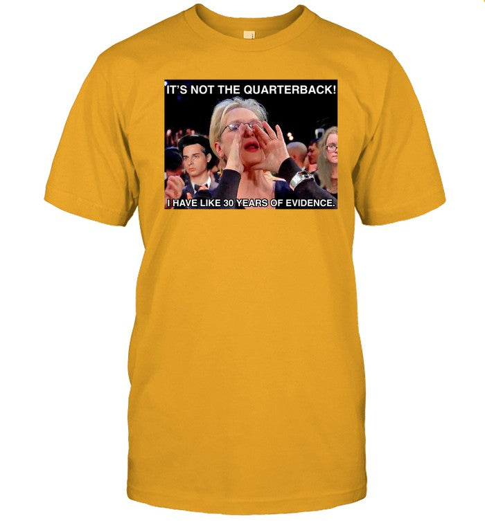 It's Not The Quarterback I Have Like 30 Years Of Evidence T-Shirt
