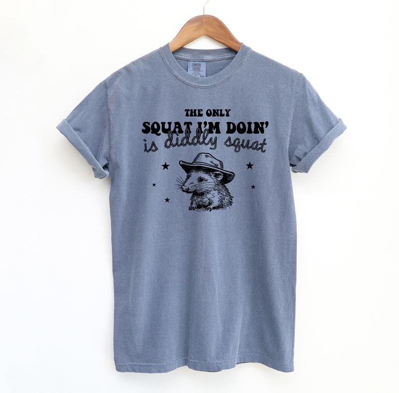 Diddly Squat Possum Funny Shirt, Sarcastic Comfort Colors Shirt