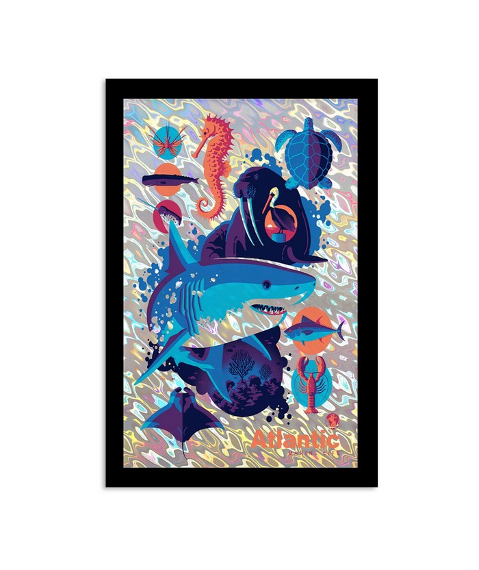 Poster Atlantic 2023 Marine Life