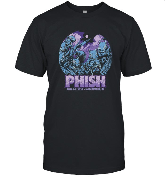 Phish Dry Goods Noblesville Event Heavy Tee T-shirt