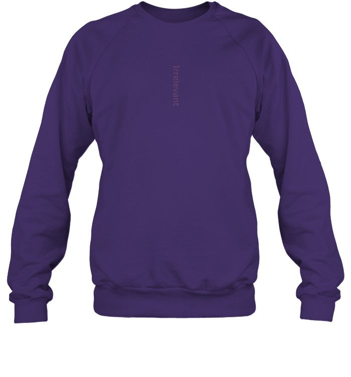 QTCinderella Irrelevant Sweatshirt_1