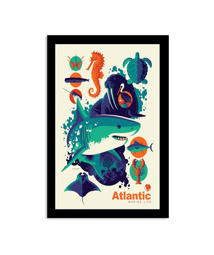 Atlantic Marine Life 2023 Limited Poster