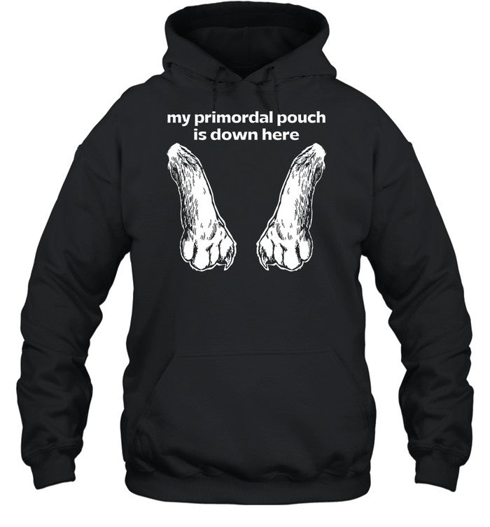 My Primordial Pouch Is Down Here Hoodie