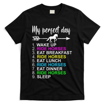 Horse Lover Horseback Riding Horse Lover Gift T-Shirt
